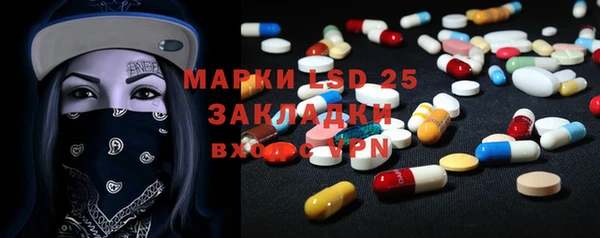 сатива Строитель