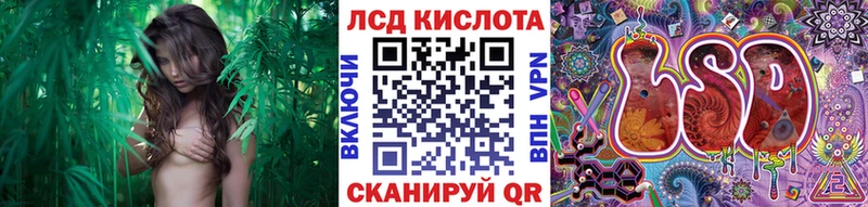 продажа наркотиков  Ясный  Марки 25I-NBOMe 1500мкг 