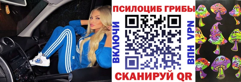 Псилоцибиновые грибы Psilocybine cubensis  Ясный 